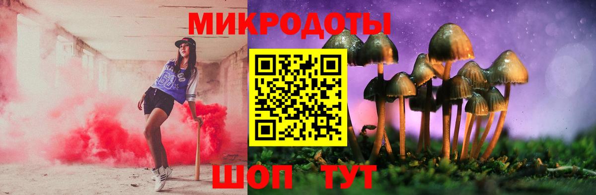 Галлюциногенные грибы Cubensis  Вход с VPN  Глазов 